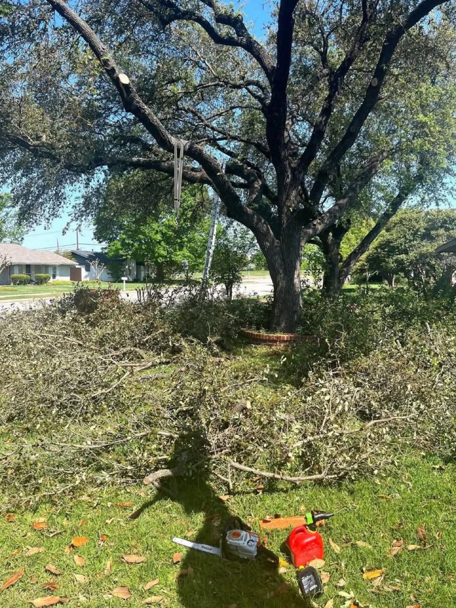 Fence Repairs