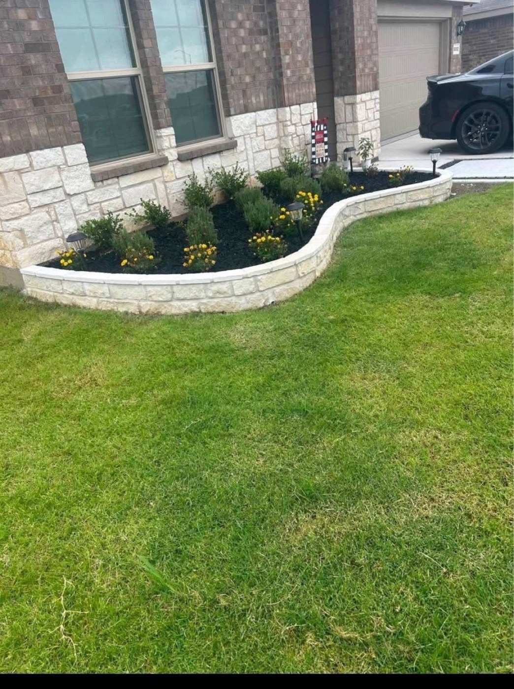 Pedro Martinez Fence & Painting project in Fort Worth